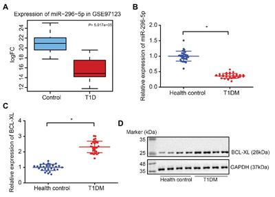 Histone Deacetylase 3 Aggravates Type 1 Diabetes Mellitus by Inhibiting Lymphocyte Apoptosis Through the microRNA-296-5p/Bcl-xl Axis